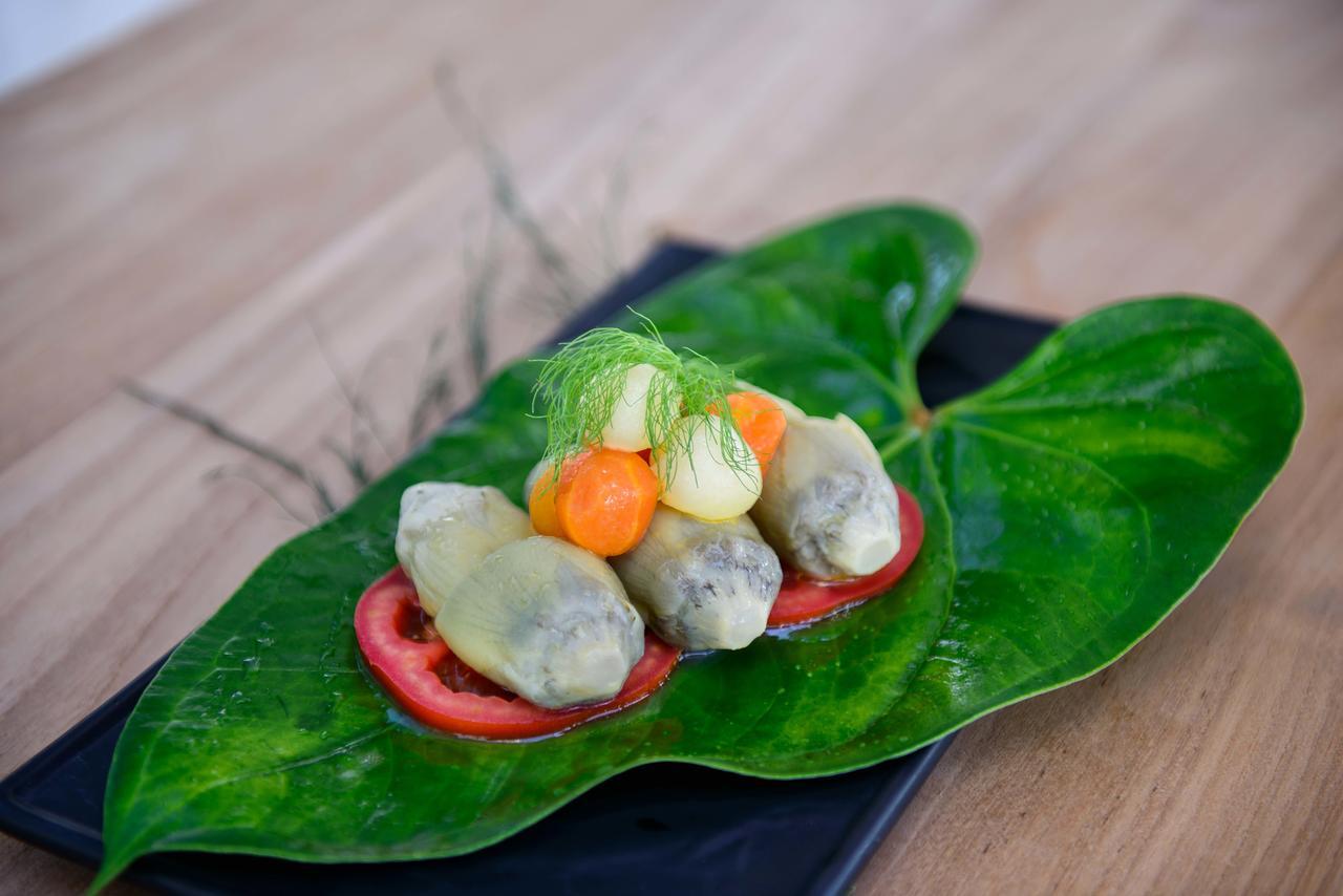 The Lifeco Antalya Well-Being Detox Center And Vegan Hotel מראה חיצוני תמונה