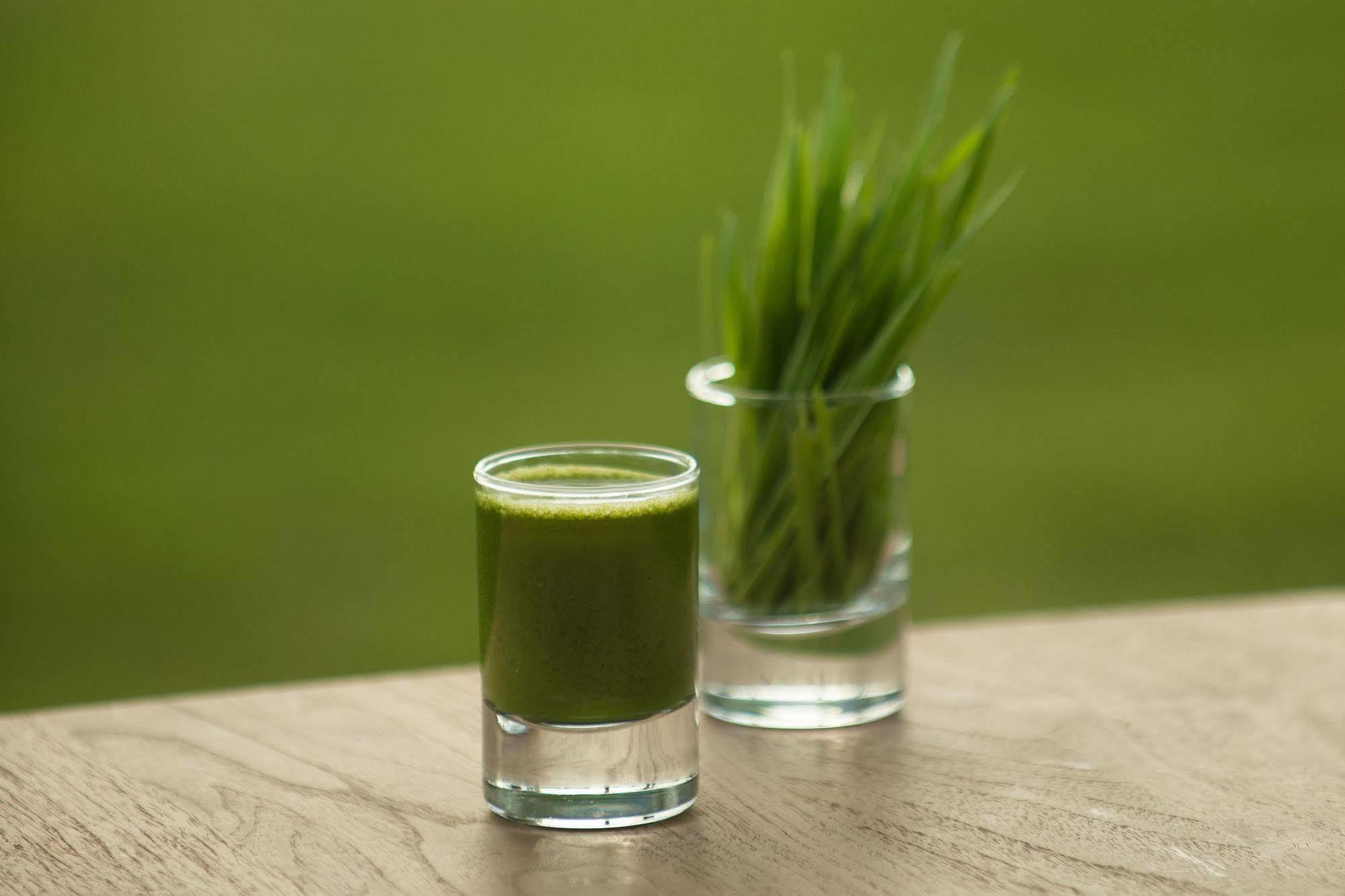 The Lifeco Antalya Well-Being Detox Center And Vegan Hotel מראה חיצוני תמונה